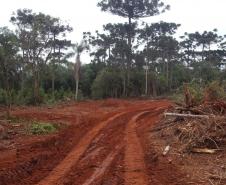 Com descontos e parcelamentos, Estado regulamenta Refis Ambiental