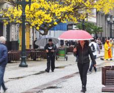 Fim de semana de mudança no tempo: calor à tarde dá lugar a chuva no Paraná