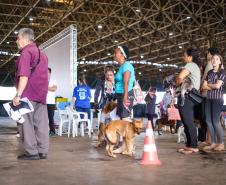 CastraPet vai beneficiar 5,4 mil cães e gatos em maio; agenda começa no feriado