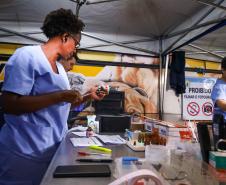 CastraPet vai beneficiar 5,4 mil cães e gatos em maio; agenda começa no feriado