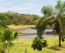 Natureza do Paraná: confira seis dicas de passeios para o feriado de Tiradentes