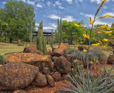 Jardim Botânico de Londrina: passeio pela flora nativa do Paraná 