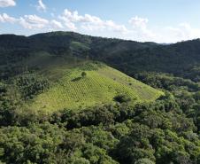 Em Castro: IAT finaliza detalhes para criação da 75ª Unidade de Conservação do Paraná