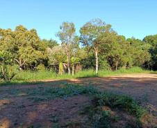 Primeira edição da força-tarefa "Espaço Naturais Protegidos", de combate a crimes ambientais em Unidades de Conservação, aplicou R$ 878 mil em multas