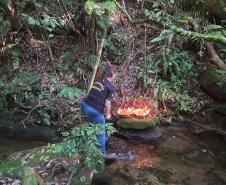 Primeira edição da força-tarefa "Espaço Naturais Protegidos", de combate a crimes ambientais em Unidades de Conservação, aplicou R$ 878 mil em multas