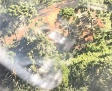 Primeira edição da força-tarefa "Espaço Naturais Protegidos", de combate a crimes ambientais em Unidades de Conservação, aplicou R$ 878 mil em multas