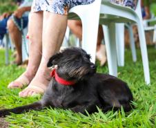 Contrapartida social do Paraná Competitivo vai revitalizar praças com foco pet