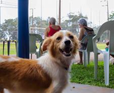 Contrapartida social do Paraná Competitivo vai revitalizar praças com foco pet