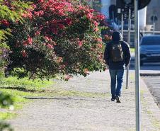 Com massa de ar polar, Paraná tem primeiras temperaturas negativas e recorde de frio no ano