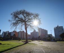 Com massa de ar polar, Paraná tem primeiras temperaturas negativas e recorde de frio no ano