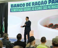 Estado fará 80 mil atendimentos em programa itinerante de consultas e vacinas para cães e gatos