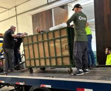 Anta que sofreu acidente na BR-277 retorna à natureza em área de conservação da Serra do Mar