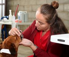 Atendimentos do Vet-Móvel Paraná começam na segunda-feira; veja como se inscrever