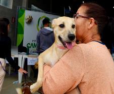 Atendimentos do Vet-Móvel Paraná começam na segunda-feira; veja como se inscrever