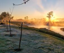 Sinais de inverno: maio terá frentes frias, geada e temperaturas abaixo de 10°C