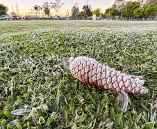 Sinais de inverno: maio terá frentes frias, geada e temperaturas abaixo de 10°C