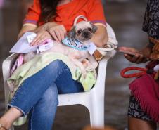 Para ampliar políticas públicas, Estado cria Superintendência-Geral de Proteção Animal