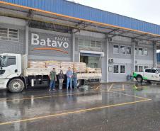 Parceria entre IAT e Frísia vai ampliar estratégias de manejo de javalis em parques estaduais