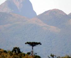 IAT reforça cuidados especiais em áreas de campos de altitude do Pico Paraná