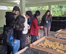 Um dia no viveiro: estudantes da UFPR conhecem viveiro do IAT em São José dos Pinhais