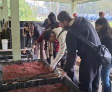Um dia no viveiro: estudantes da UFPR conhecem viveiro do IAT em São José dos Pinhais