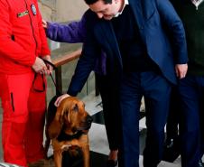 Estado fará 80 mil atendimentos em programa itinerante de consultas e vacinas para cães e gatos