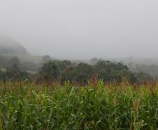 Tempestades retornam ao Paraná com chuvas mais expressivas na faixa central