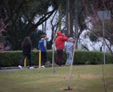Intensa massa de ar polar derruba as temperaturas no Paraná nesta semana