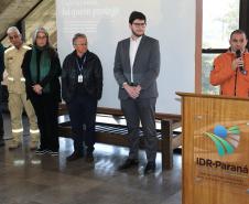 Campanha de prevenção e combate a incêndios florestais é iniciada no Paraná