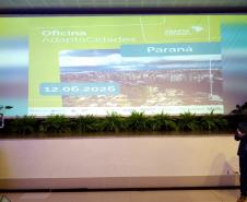 AdaptaCidades: Nove municípios do Paraná iniciaram a construção de estratégias para enfrentar enchentes, secas, ondas de calor e outros impactos das mudanças climáticas