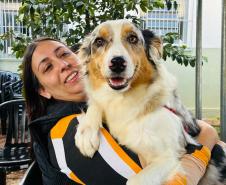 CastraPet Paraná atinge marca de 150 mil animais esterilizados em 392 municípios
