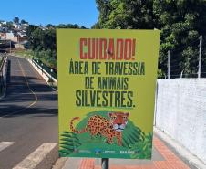 Educação ambiental: programa CastraPet Paraná viabilizou a instalação de 3.402 placas 