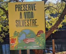 Educação ambiental: programa CastraPet Paraná viabilizou a instalação de 3.402 placas 