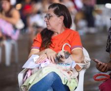 3,3 mil animais de 21 municípios serão atendidos pelo CastraPet em julho; confira a agenda
