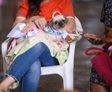 CastraPet Paraná vai passar por 37 municípios e beneficiar 6 mil animais em junho