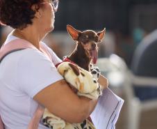 CastraPet Paraná vai passar por 37 municípios e beneficiar 6 mil animais em junho