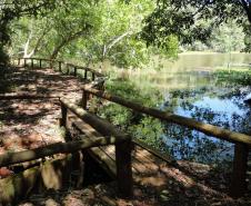Do mangue ao sítio arqueológico: parques estaduais são abrigos da natureza paranaense
