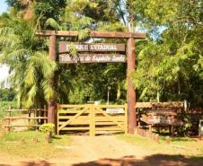 Do mangue ao sítio arqueológico: parques estaduais são abrigos da natureza paranaense