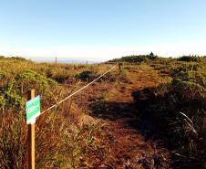IAT cerca áreas degradadas do Pico Paraná para viabilizar restauração ambiental