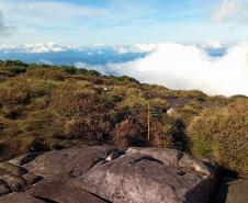 IAT cerca áreas degradadas do Pico Paraná para viabilizar restauração ambiental