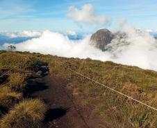 IAT cerca áreas degradadas do Pico Paraná para viabilizar restauração ambiental