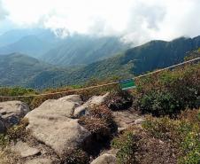 IAT cerca áreas degradadas do Pico Paraná para viabilizar restauração ambiental