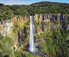 Cores da Natureza do Paraná: Sedest lança livro fotográfico da biodiversidade do Estado