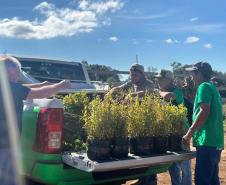 Com entrega de mudas, Semana do Meio Ambiente ajuda a regenerar 4,8 hectares no Paraná