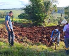 Com entrega de mudas, Semana do Meio Ambiente ajuda a regenerar 4,8 hectares no Paraná