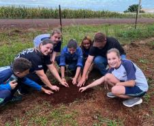 Com entrega de mudas, Semana do Meio Ambiente ajuda a regenerar 4,8 hectares no Paraná