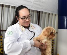 Vet-Móvel Paraná inicia atendimentos em Campo Magro e Bocaiúva do Sul