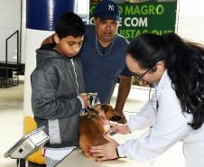 Vet-Móvel Paraná inicia atendimentos em Campo Magro e Bocaiúva do Sul