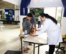 Dia Nacional da Imunização Animal: campanha estaudal leva prevenção e bem-estar aos pets