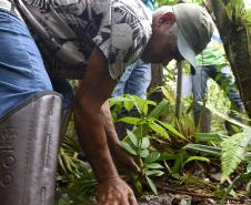 Plantio de mudas, trilha sensorial e mutirão agitam a Semana do Meio Ambiente